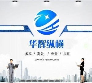 江蘇華輝縱橫科技信息咨詢 專業(yè)信息技術(shù)咨詢服務(wù)解析